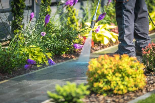 Best Boat and Dock Cleaning  in Homestead, PA